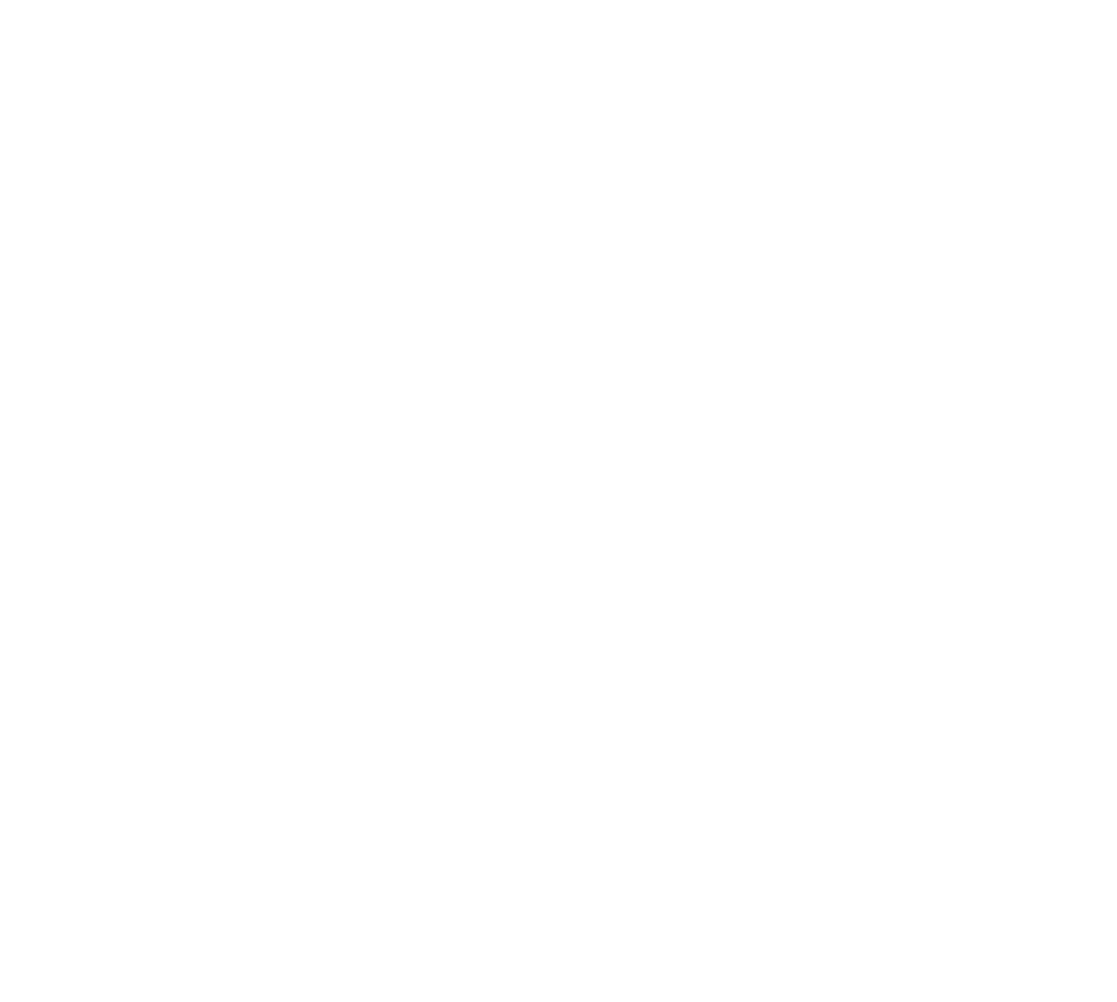 Asiatic Connection: Red de proveedores y conexiones