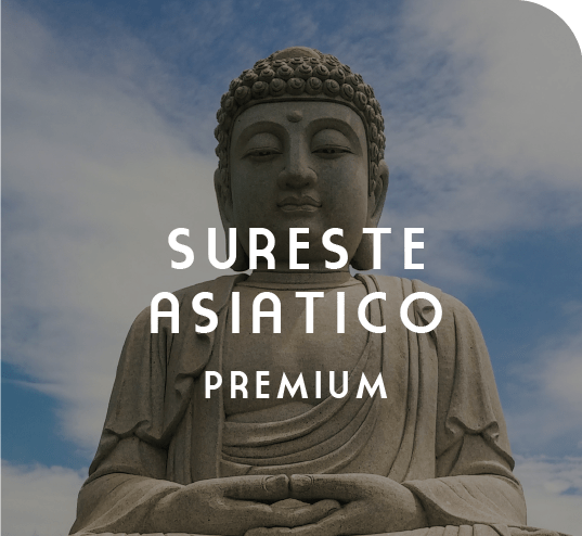 Asiatic Connection: Visita el Sureste Asiático Premium